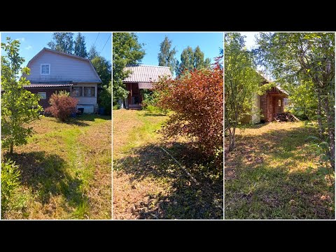 Видео: Ленинградская область, Гатчинский, Кобринское сельское поселение, СНТ Елицы
