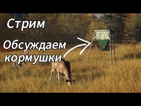 Видео: Скоро будут кормушки в theHunter: Call of the Wild