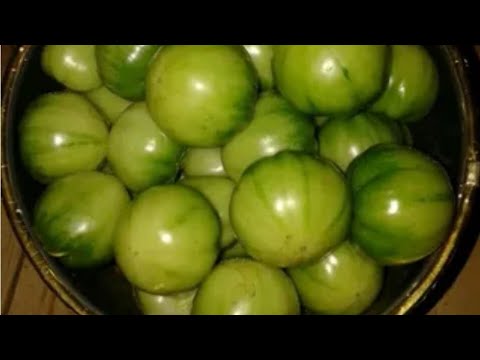 Видео: Квашеные зелёные помидоры. Два проверенные годами рецепта. 