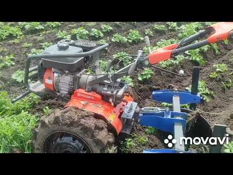 Видео: Мотоблок Хузварна Husgvarna TF 440 в роботі.