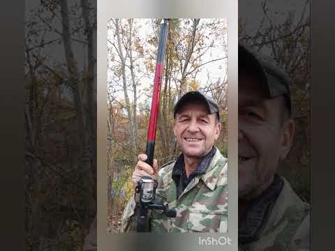 Видео: На удочку, осень - пасу белую....🦈✌️👀
