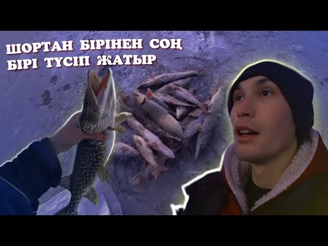 Видео: Шортан бірінен соң бірі түсіп жатыр