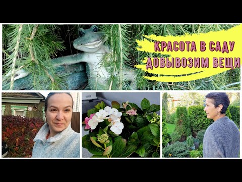 Видео: Гуляю по саду | Лягушата музыканты | Доупаковываемся | Задымился камин