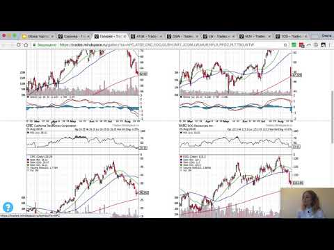 Видео: Обзор торговых идей на неделю (20.08.18)