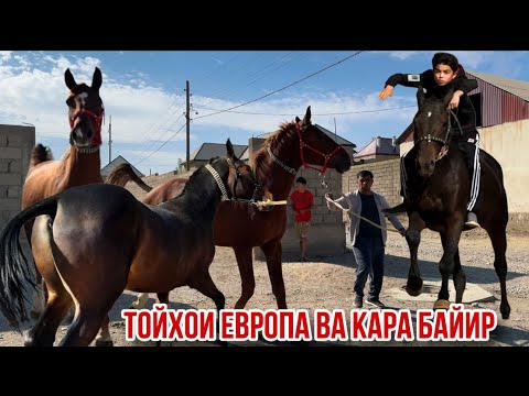 Видео: Той аз Наими Эгилик 1 октября 2025 г.
