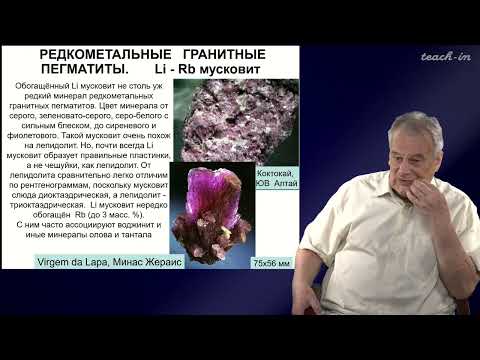 Видео: Спиридонов Э.М. - Генетическая минералогия.Часть 2 - 29. Редкометальные гранитные пегматиты. Часть 3