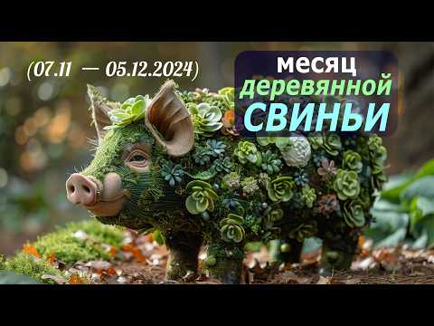 Видео: Ноябрь — что принесёт месяц деревянной свиньи в 2024? Прогноз энергий по Ба Цзы, Ци Мень и Феншуй