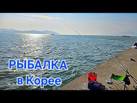 Видео: Про Золотую Рыбку и Сырные Вафли . Жизнь у Жёлтого Моря . ВЛОГ про РЫБАЛКУ 