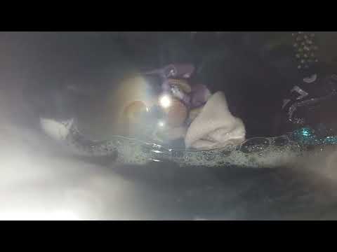 Видео: Стирка тёмных вещей программа спортивная