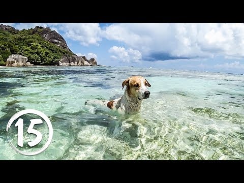 Видео: Остров Ла Диг, Сейшелы. Самый фотографируемый пляж в мире