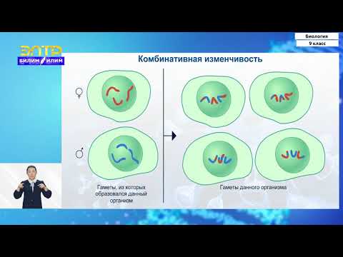 Видео: 9-класс | Биология | Изменчивость признаков у организмов