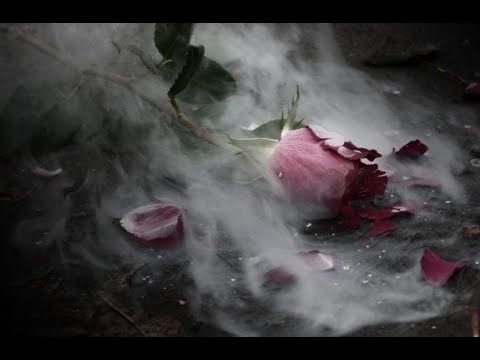 Видео: ЛЮБОВЬ И СМЕРТЬ