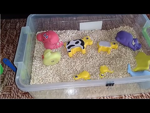 Видео: #81. Ігри з крупами