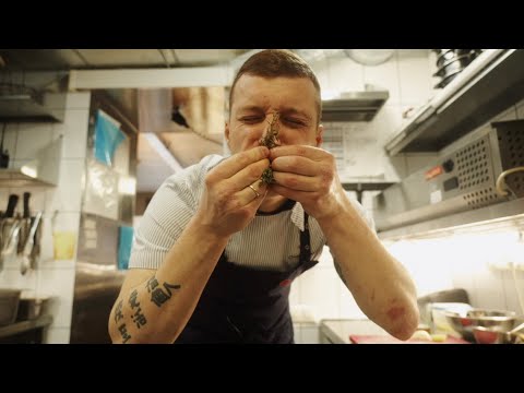 Видео: РЕЦЕПТЫ: Мидии от шефа ресторана Траппист Олега Пятакова.