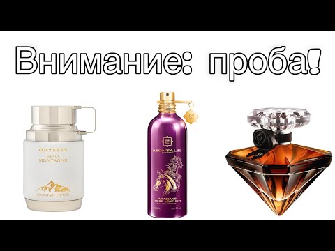 Видео: Внимание: проба! Новинки - 2025.