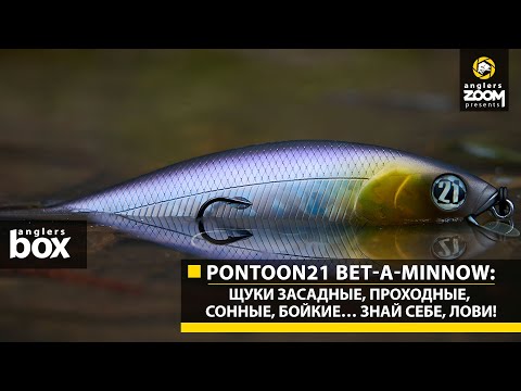 Видео: Pontoon21 Bet-A-Minnow: щуки засадные, проходные, сонные, бойкие… знай себе, лови! Anglers Box