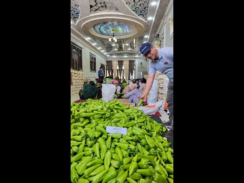 Видео: Асакалик тажрибали деҳқон, кўчатчи ва экспортёрдан FERRARI F1 ва JAWA F1 етиштириш бўйича тавсиялар