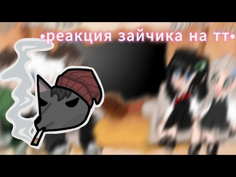 Видео: •реакция зайчика на тт•