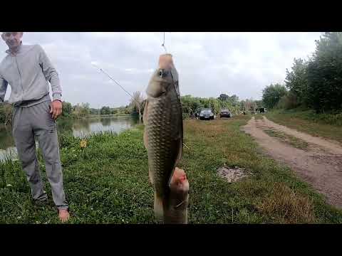 Видео: РЫБАЛКА. МАЛОПОЛОВЕЦКОЕ. АВГУСТ 2021. ОТДЫХ.