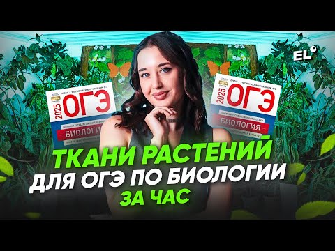 Видео: ТКАНИ РАСТЕНИЙ ДЛЯ ОГЭ ПО БИОЛОГИИ ЗА ЧАС | ГЕЛЯ БИОЛОГИЧКА | ЕГЭLAND