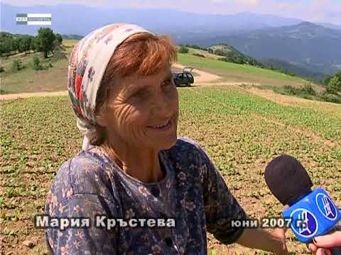 Видео: Тютюнопроизводството в Пиринския край преди години