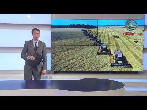 Видео: АПТА / ҚАЗ / 08.11.2025