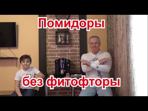 Видео: 98. Помидоры без фитофторы - очень просто, и без всяких обработок!