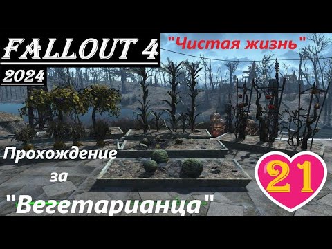 Видео: Fallout 4 Прохождение, выживание, одна жизнь:- без силовой брони, ватса, химии, легендарок и мяса !