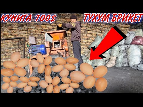 Видео: ОЙЛВИ БИЗНЕС КУНИГА 100$ ДАН 500$ ГАЧОР