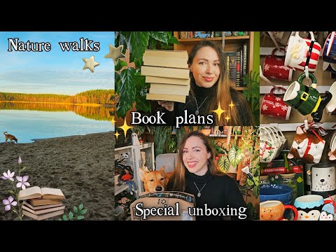 Видео: Ноябрь и декабрь: TBR 📚 + распаковка специальной таинственной коробки из США ✨️📦✨️