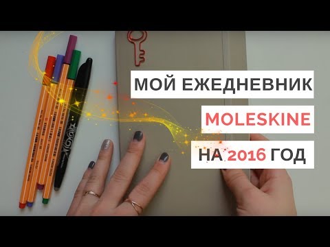 Видео: BULLET JOURNAL НА ВЕСЬ 2016 ГОД!