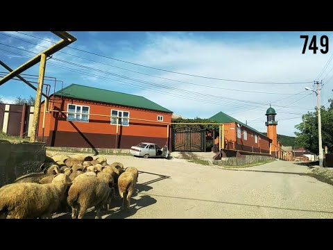 Видео: Аллерой ДАЙ БАЬХНА ЛАТТА .29 июля 2021 г.