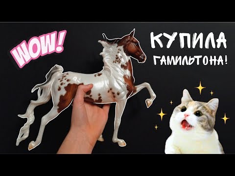 Видео: Гамильтон! Обзор и распаковка | Breyer Hamilton Premier Club 2019 unboxing