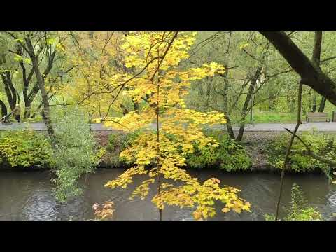Видео: 25 минут прогулки по парку Яуза у Северодвинской