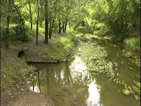 Видео: Сетунь - история одной реки