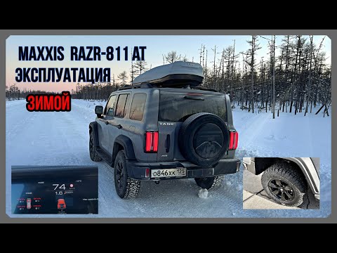 Видео: Maxxis RAZR 811 AT зимой тест на Танк 300