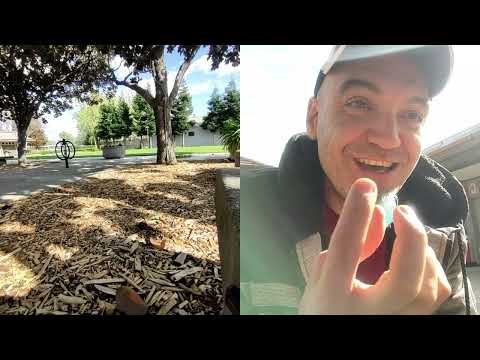 Видео: Подорож з Рахова на таксі, до підніжжя Мармаросів і далі.