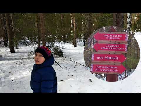 Видео: Тропа здоровья в Нечкинском парке