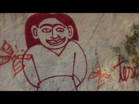 Видео: 41 факт о бразилии. Шок-контент (нет)