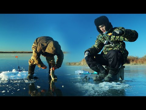 Видео: Қысқы балық аулау, БИЫЛҒА АЛҒАШҚЫ ШОРТАН