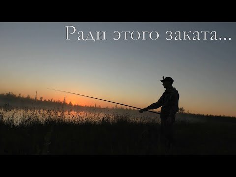 Видео: Хариус на воблер.Самый крупный карась на удочку.Овода готовы съесть живьем!