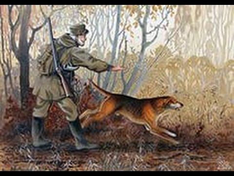 Видео: Испытания гончих по зайцу 2009 год. часть 2