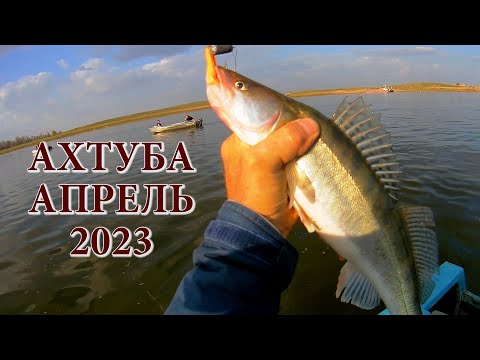 Видео: ВЕСЕННИЙ СЕЗОН 2023 В РАЗГАРЕ