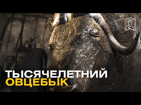 Видео: Юрий Руденко создает скульптуру овцебыка