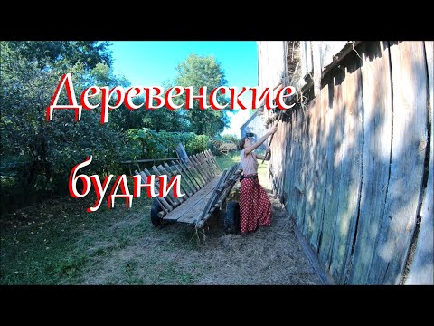 Видео: Окончание сенокоса, прогулка в лес и другие новости Лесного Хутора.