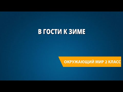 Видео: В гости к зиме