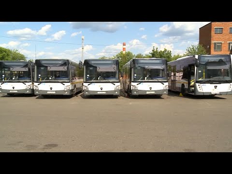 Видео: В Мытищах запустят новые автобусы