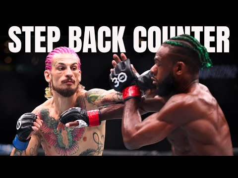 Видео: Изучите ОСНОВНЫЕ концепции лучшего удара в ММА