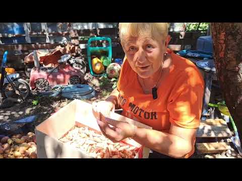 Видео: Недельные новости! Аномальная жара