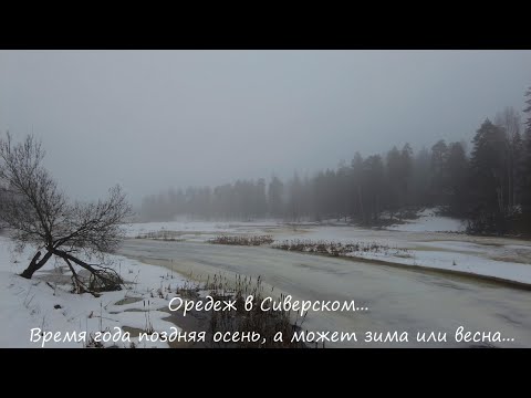 Видео: Оредеж в Сиверском...Время года поздняя осень, а может зима или весна...